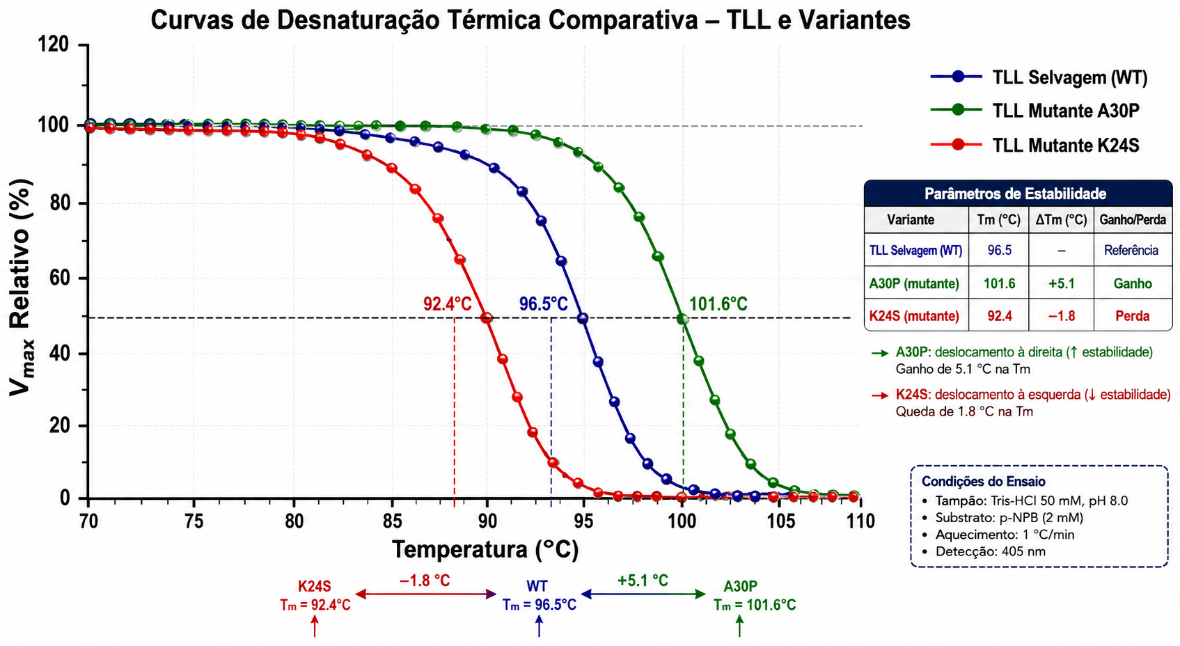 Estabilidade Térmica de Lipases Mutantes