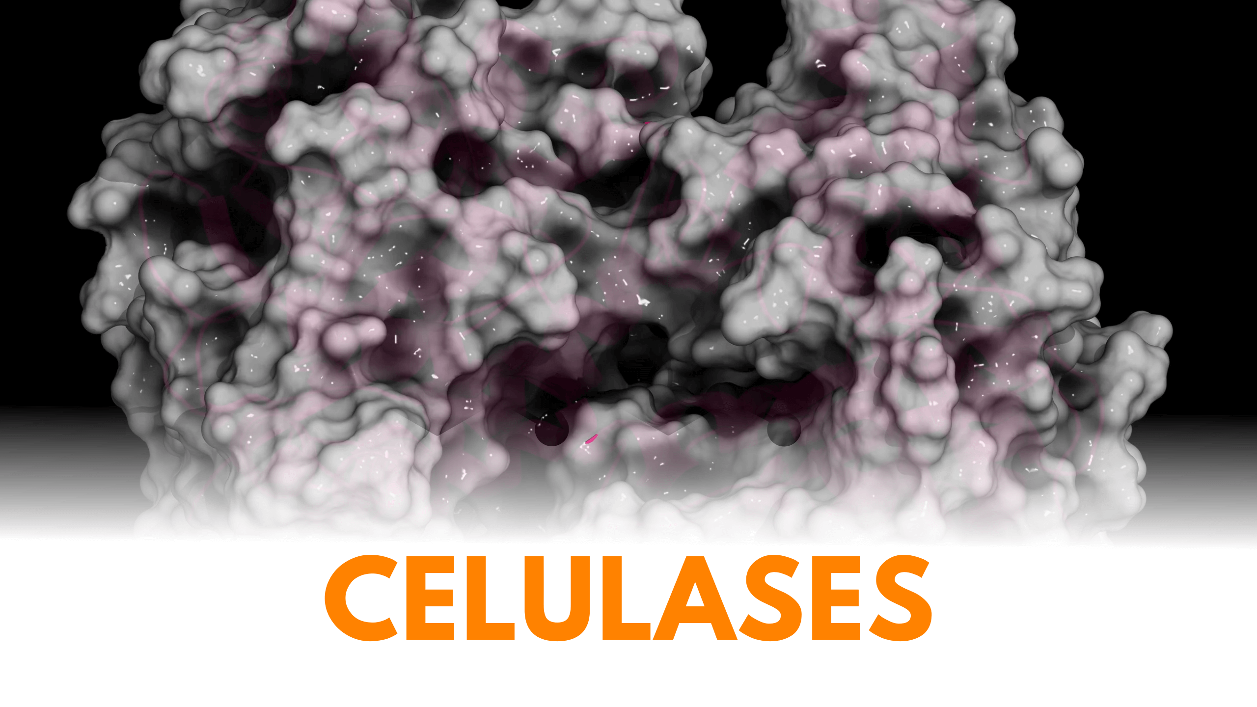 Celulases na Limpeza: Renovação de tecidos e combate à sujeira microscópica