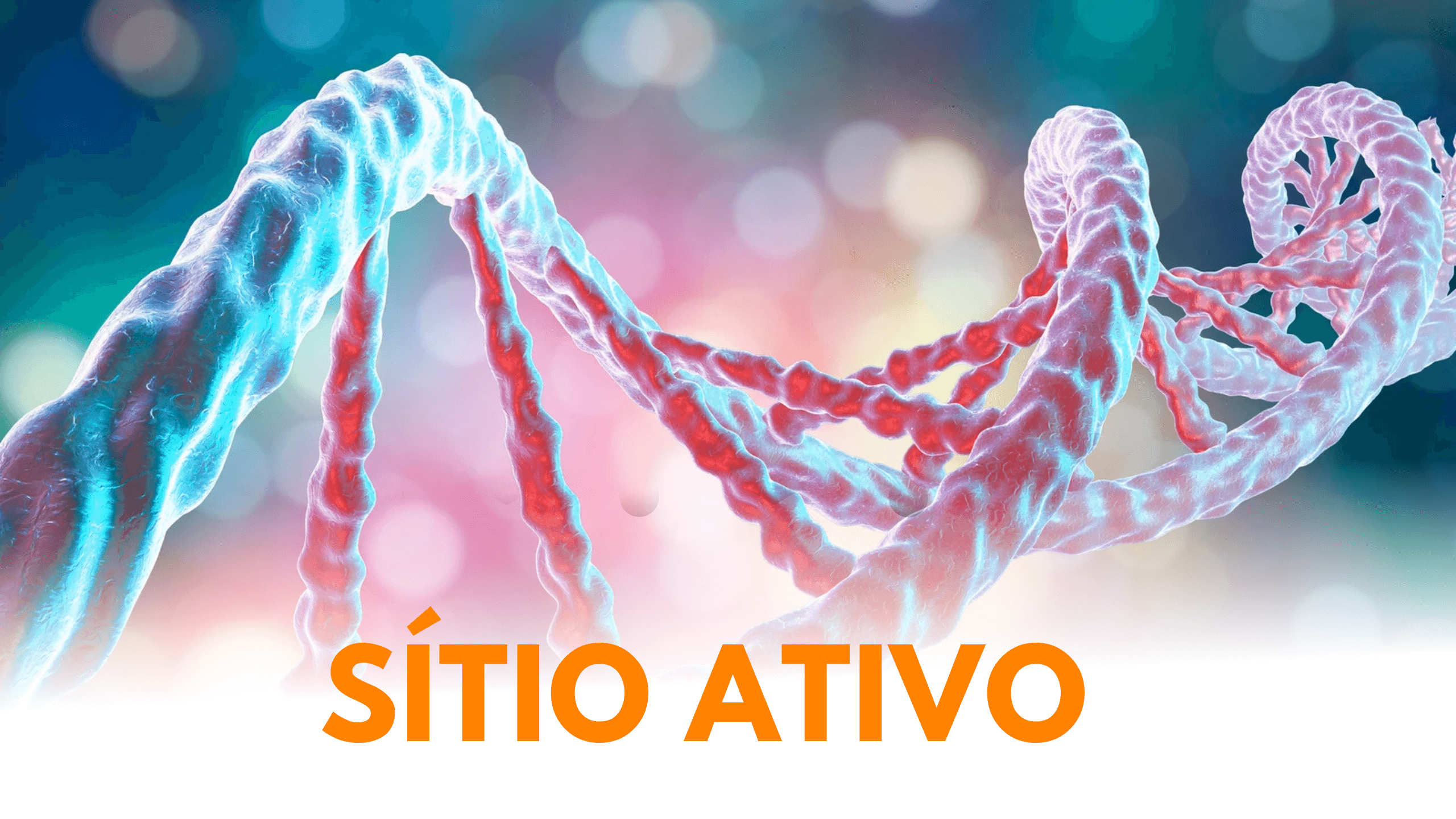 🧬 Sítio Ativo: O centro de comando das enzimas na limpeza