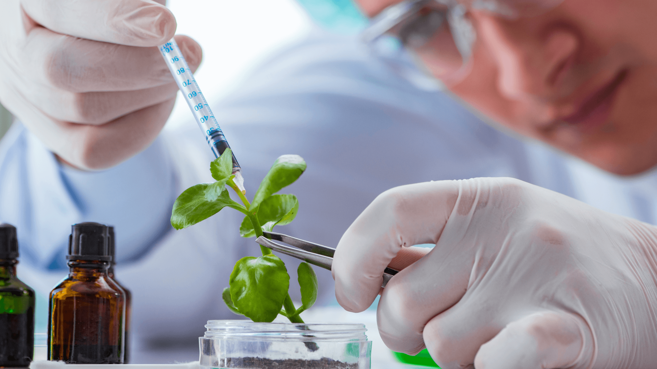 🌿 Tendências Verdes no Uso de Enzimas em Produtos de Limpeza